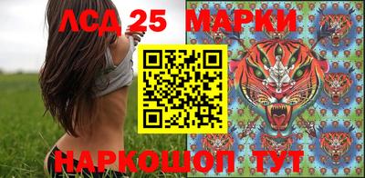 крисы Тверь