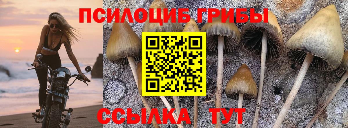 Мариинск  Галлюциногенные грибы MAGIC MUSHROOMS  Вход с VPN 